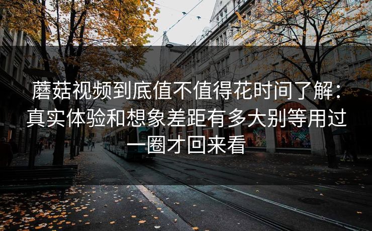 蘑菇视频到底值不值得花时间了解：真实体验和想象差距有多大别等用过一圈才回来看
