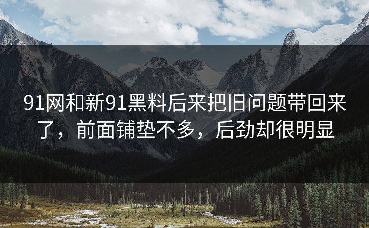 91网和新91黑料后来把旧问题带回来了，前面铺垫不多，后劲却很明显