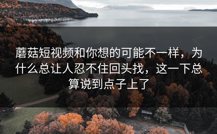 蘑菇短视频和你想的可能不一样，为什么总让人忍不住回头找，这一下总算说到点子上了