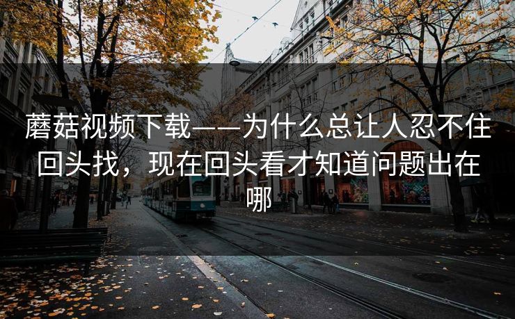 蘑菇视频下载——为什么总让人忍不住回头找，现在回头看才知道问题出在哪