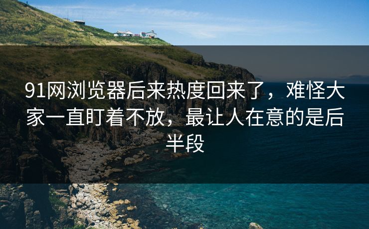 91网浏览器后来热度回来了，难怪大家一直盯着不放，最让人在意的是后半段