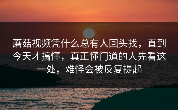 蘑菇视频凭什么总有人回头找，直到今天才搞懂，真正懂门道的人先看这一处，难怪会被反复提起