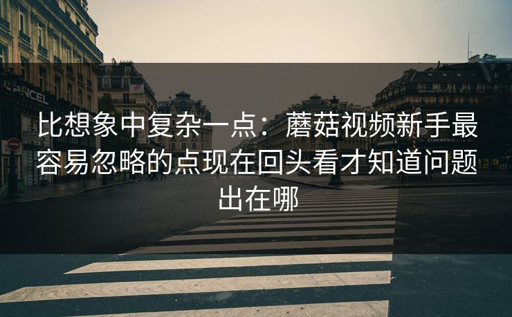 比想象中复杂一点：蘑菇视频新手最容易忽略的点现在回头看才知道问题出在哪