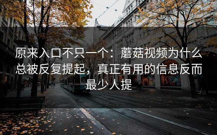 原来入口不只一个：蘑菇视频为什么总被反复提起，真正有用的信息反而最少人提