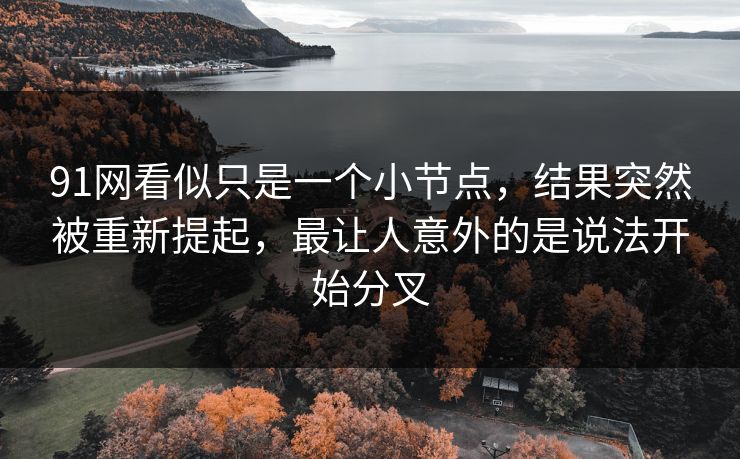 91网看似只是一个小节点，结果突然被重新提起，最让人意外的是说法开始分叉