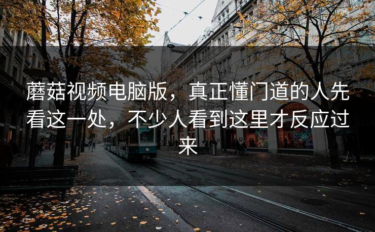蘑菇视频电脑版,真正懂门道的人先看这一处,不少人看到这里才反应过来 蘑菇视频电脑版,真正懂门道的人先看这一处,不少人看到这里才反应过来
